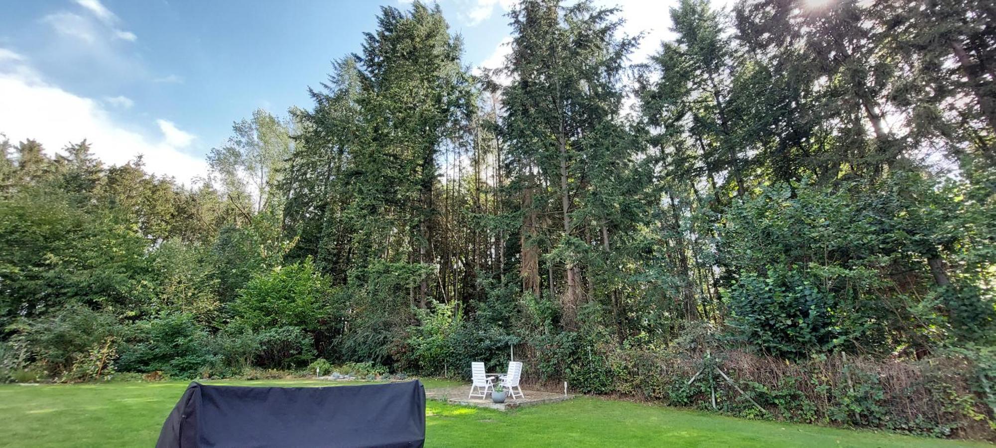 Villa Nebenan Soltau Exterior foto